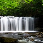 Local, State & National Parks - Ricketts Glen - NEPA - Things to Do - Northeastern Pennsylvania - DiscoverNEPA