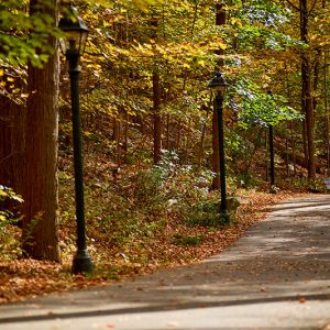 South Abington Recreation Park - Things to Do - DiscoverNEPA