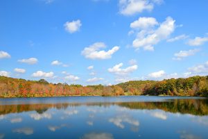 Nescopeck State Park - Things to Do - DiscoverNEPA