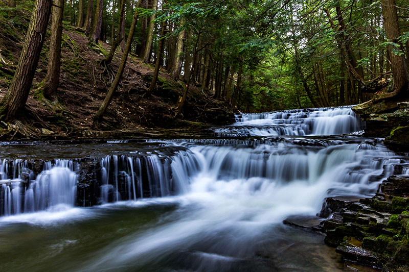 Salt Springs State Park - Things to Do - DiscoverNEPA