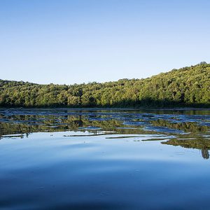 Prompton State Park - Things to Do - DiscoverNEPA