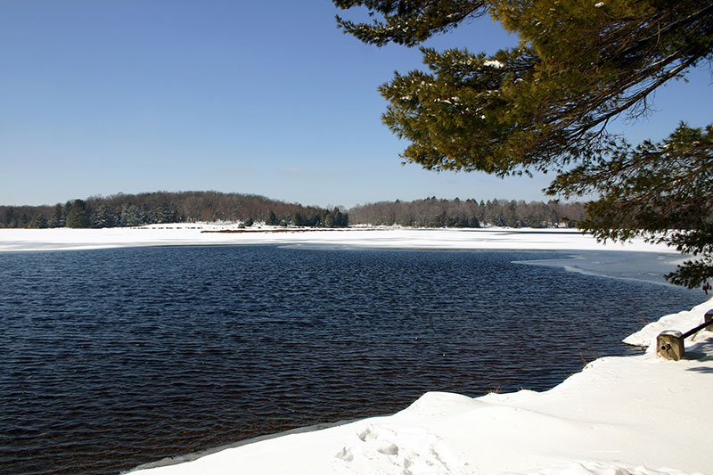 Promised Land State Park Greentown Discovernepa