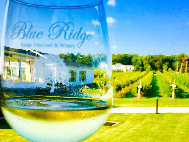Blue Ridge Estate Vineyard & Winery Saylorsburg DiscoverNEPA
