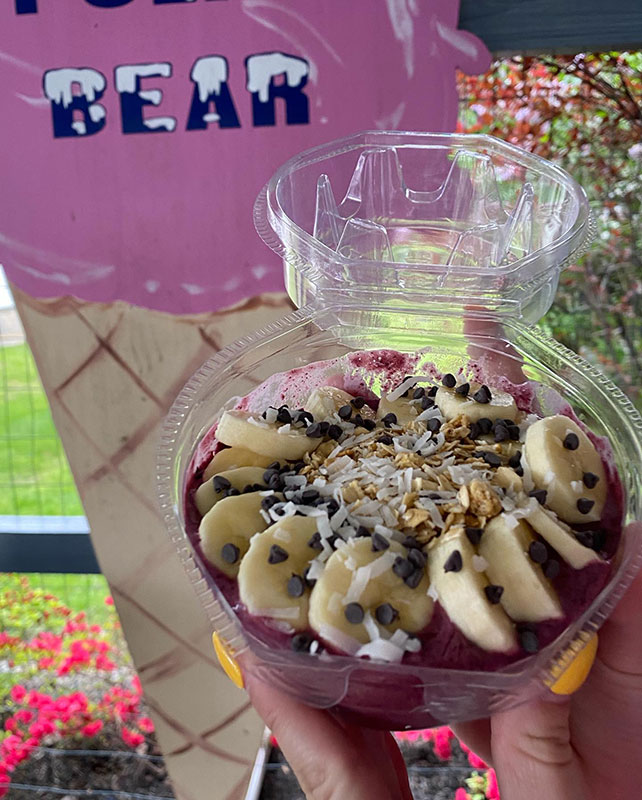 Polar Bear Ice Cream Snack