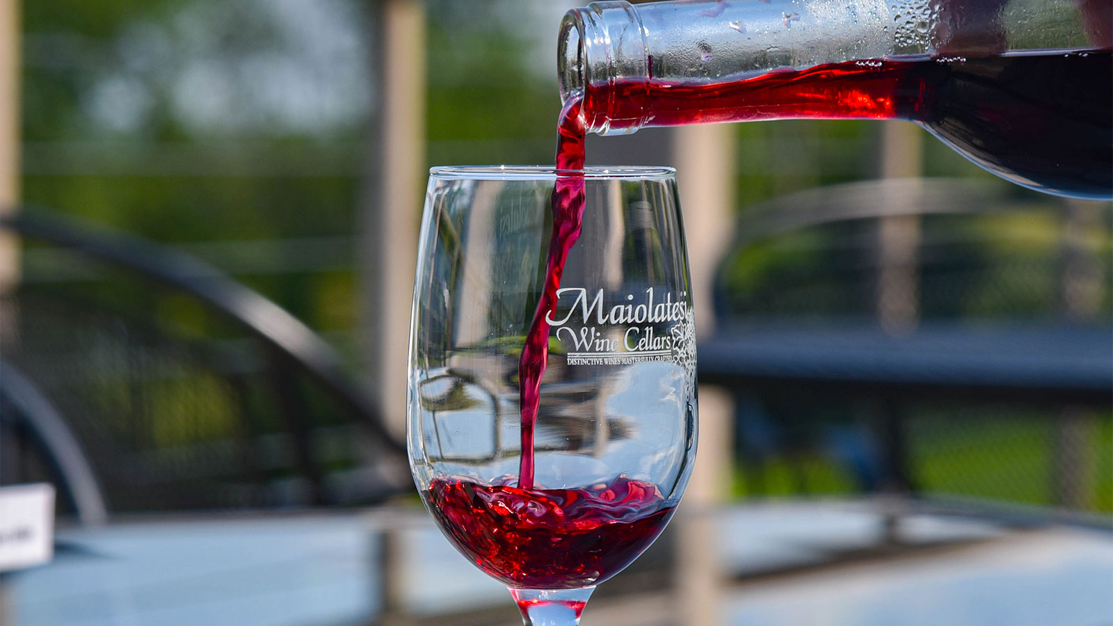 Maiolatesi Wine Cellars DiscoverNEPA