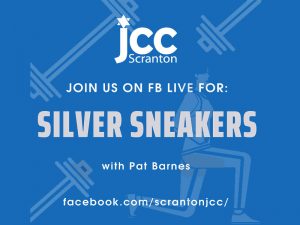 jcc silver sneakers