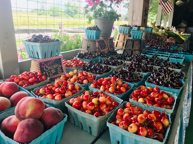 Kenny Stehr and Sons Farm Pitman DiscoverNEPA