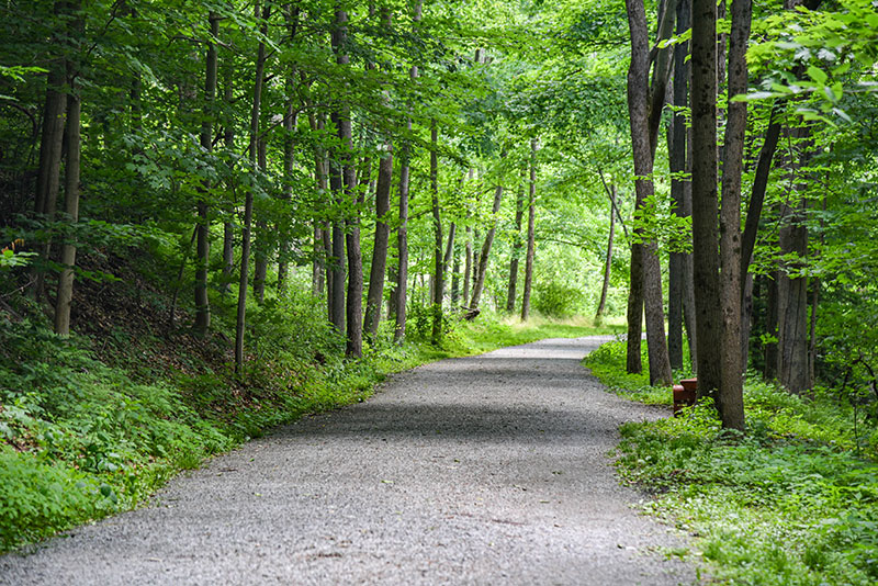 Flat gravel trail in the woods in Clarks Summit