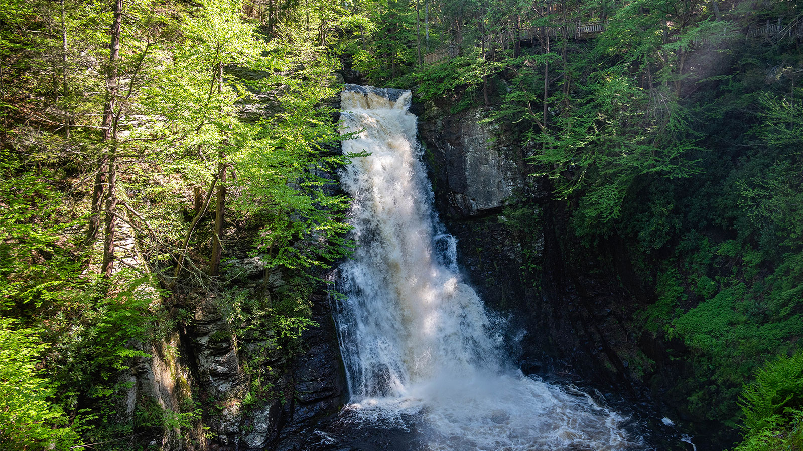Are Dogs Allowed At Bushkill Falls