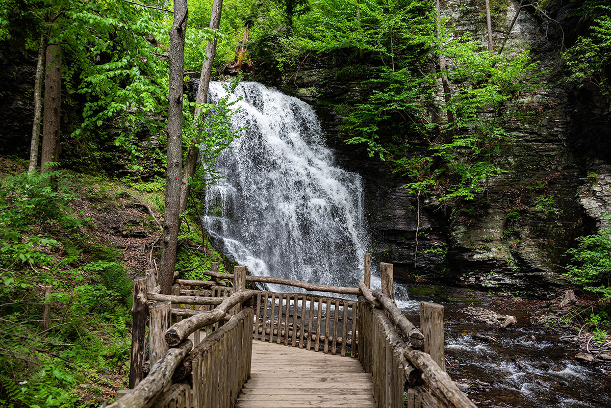 Are Dogs Allowed At Bushkill Falls