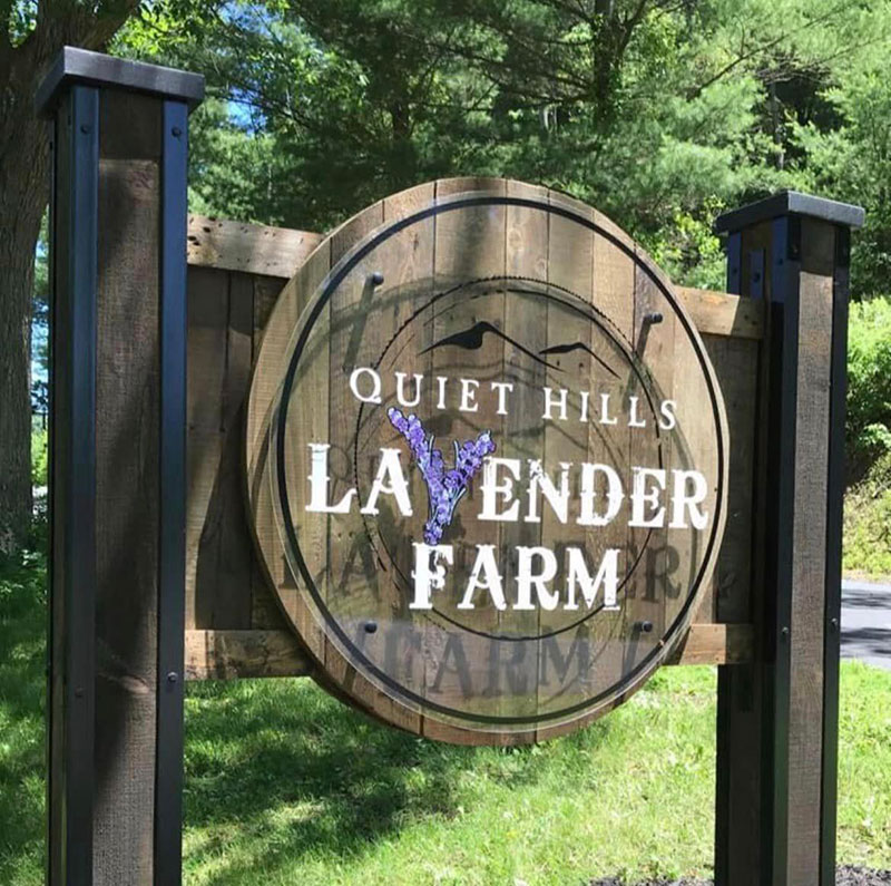Quiet Hills Lavender Farm Palmerton DiscoverNEPA